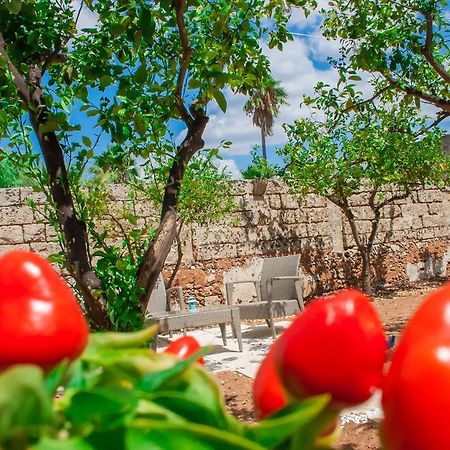Riz Guest House Montesano Salentino Екстериор снимка